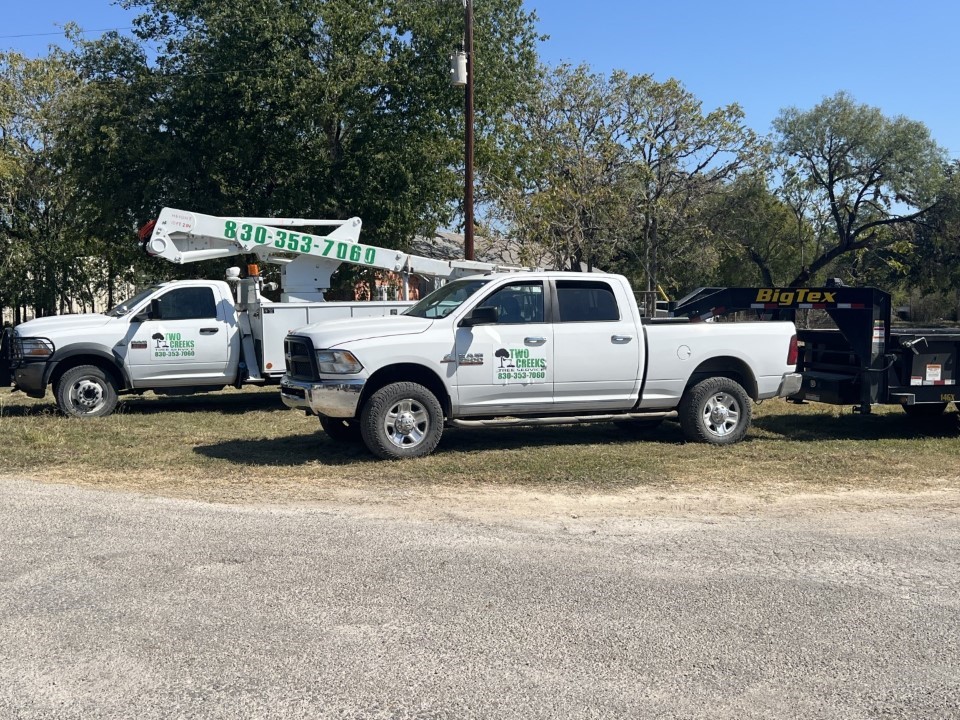 Two Creeks Tree Service